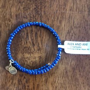 Alex and Ani bracelet